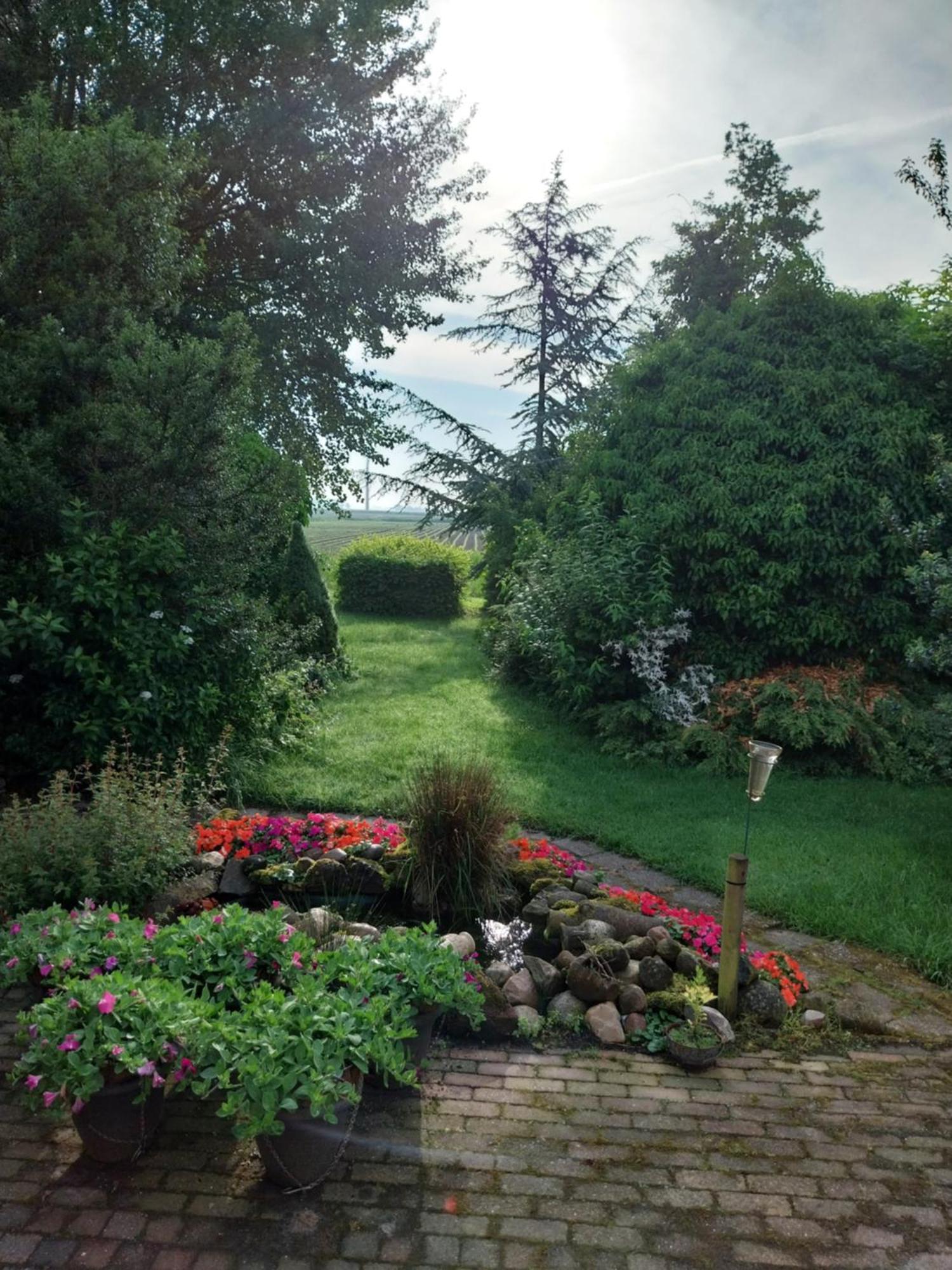 Wad Fijn Villa Sexbierum Dış mekan fotoğraf