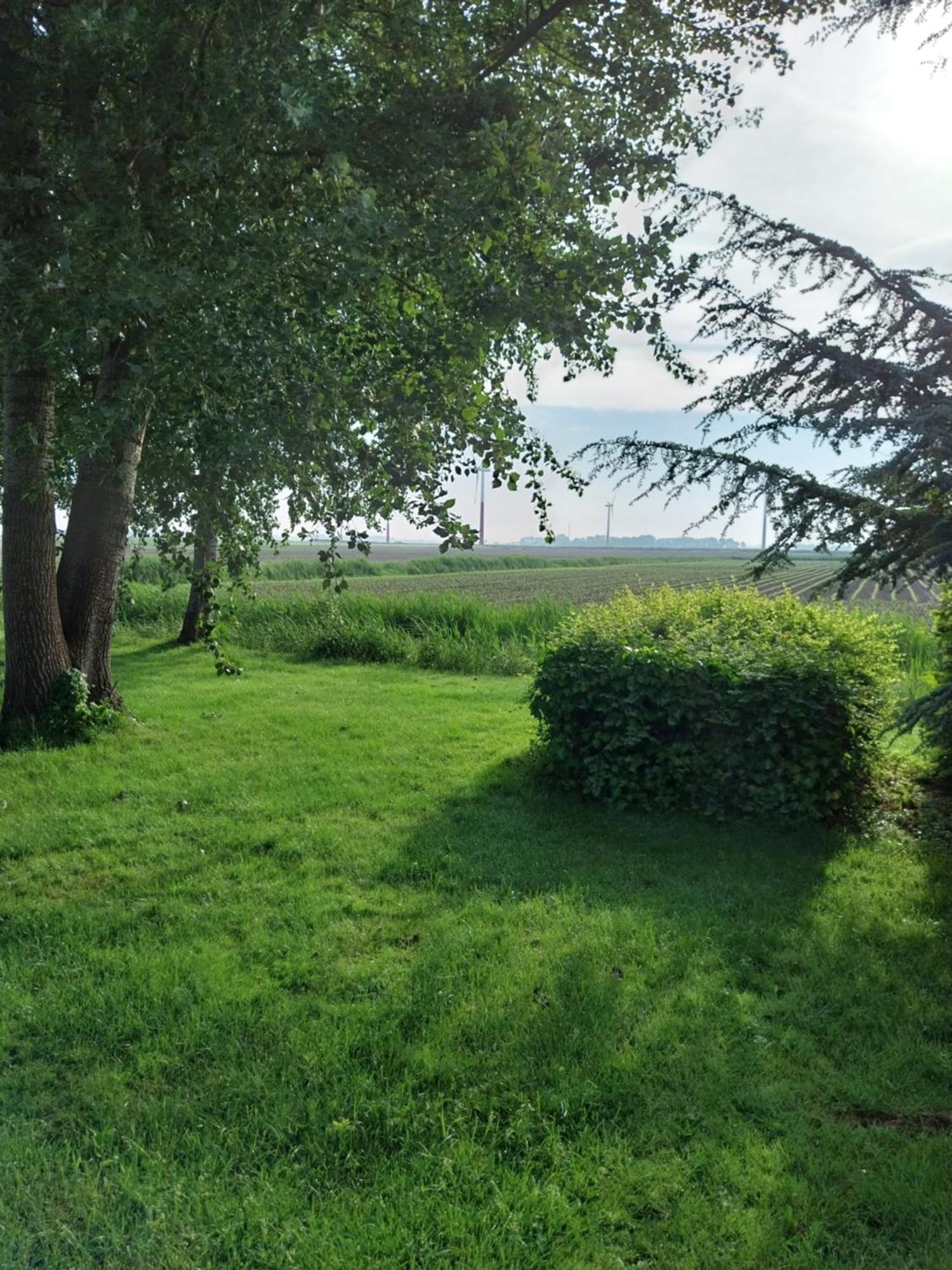 Wad Fijn Villa Sexbierum Dış mekan fotoğraf