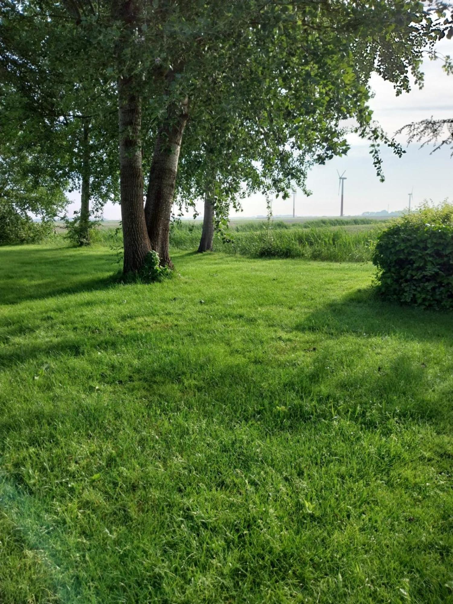 Wad Fijn Villa Sexbierum Dış mekan fotoğraf